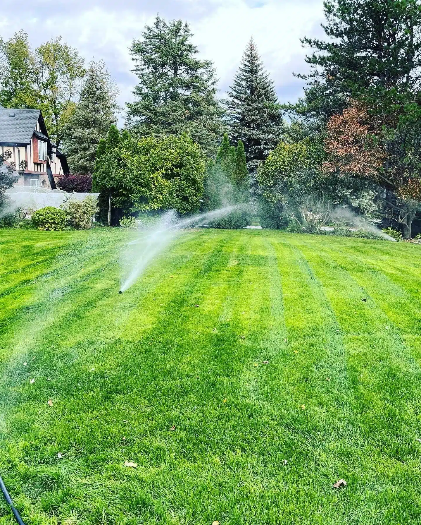 Irrigation Irrigation