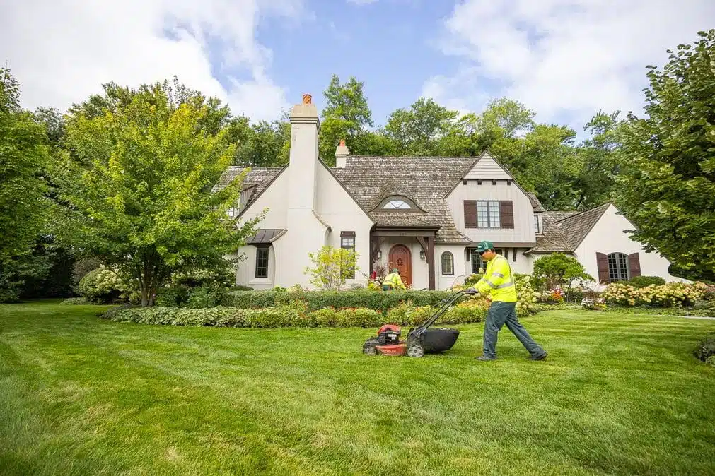 Lawn Care Tips Lawn Care