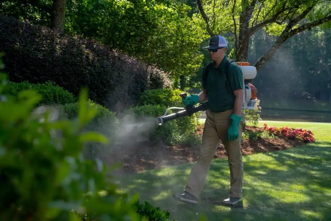 Mosquito Control